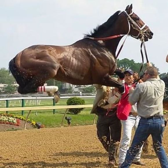 Meet your Posher, Cindy - Picture 1 of 1